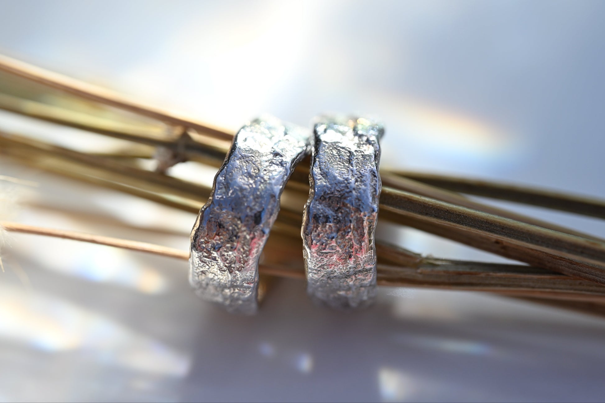 Two silver rings resting on dried grass stems against a bright, softly blurred background.