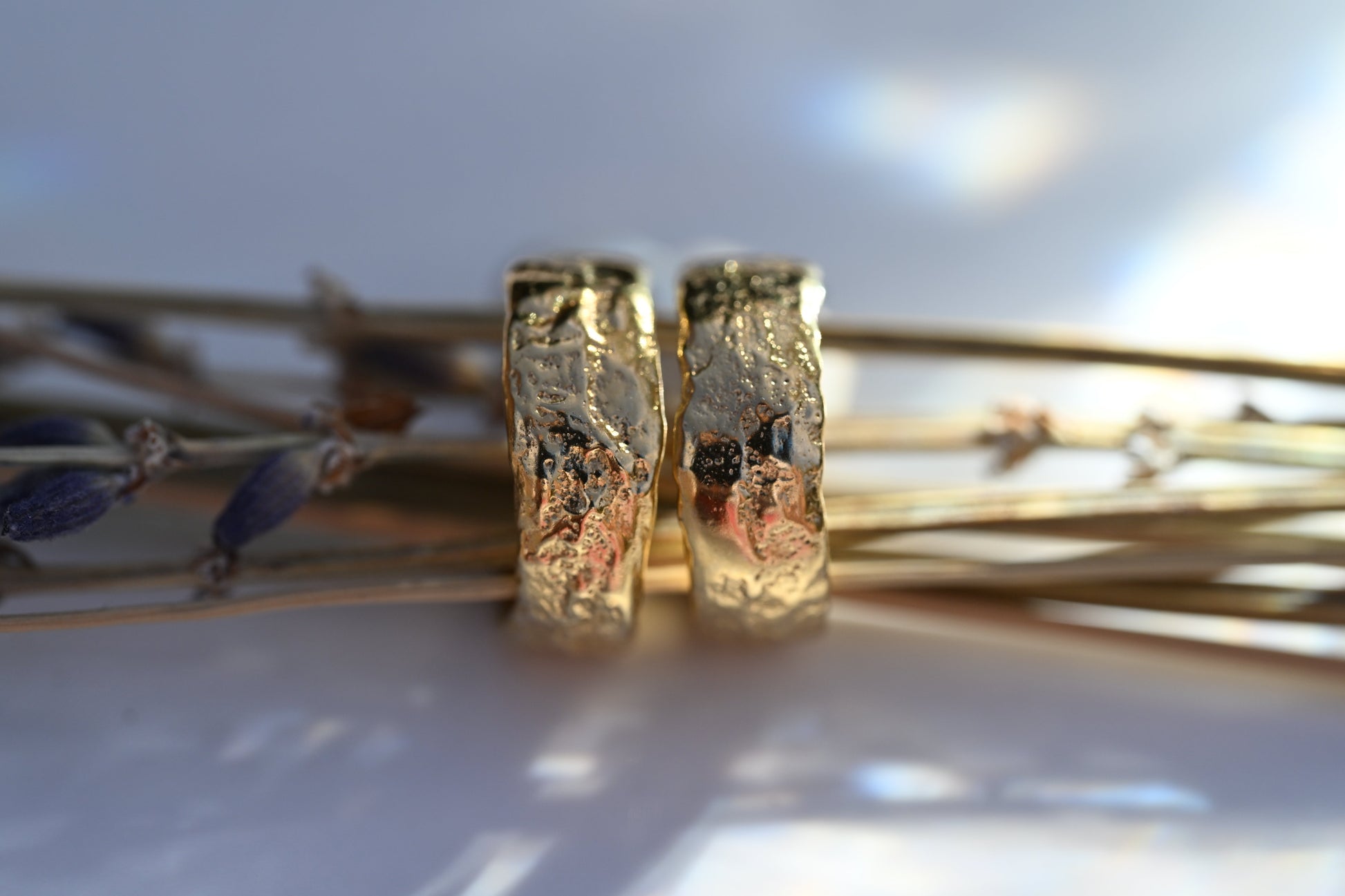 Pair of textured gold vermeil mini hoop stud earrings styled among dried stems